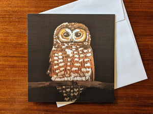 Spotted Owl Card