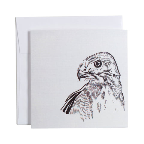 Red Tailed Hawk Greeting Card