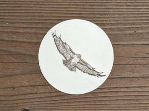 Hawk Sticker